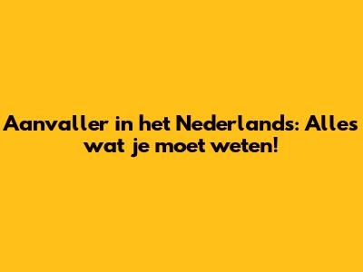 Aanvaller in het Nederlands: Alles wat je moet weten!
