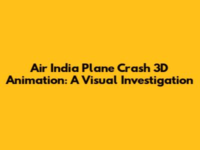Air India Plane Crash 3D Animation: A Visual Investigation