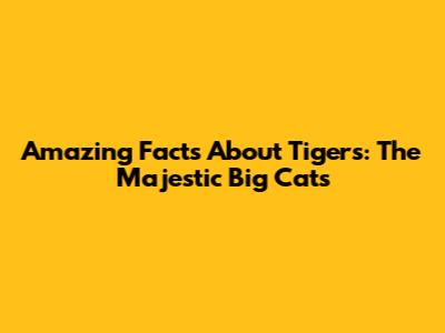 Amazing Facts About Tigers: The Majestic Big Cats