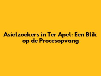 Asielzoekers in Ter Apel: Een Blik op de Procesopvang