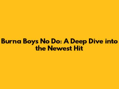 Burna Boy's 'No Do': A Deep Dive into the Newest Hit
