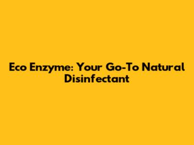 Eco Enzyme: Your Go-To Natural Disinfectant