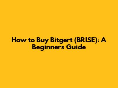 How to Buy Bitgert (BRISE): A Beginner's Guide