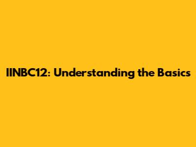 IINBC12: Understanding the Basics