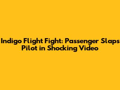 Indigo Flight Fight: Passenger Slaps Pilot in Shocking Video