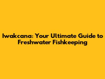 Iwakcana: Your Ultimate Guide to Freshwater Fishkeeping