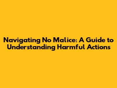 Navigating No Malice: A Guide to Understanding Harmful Actions