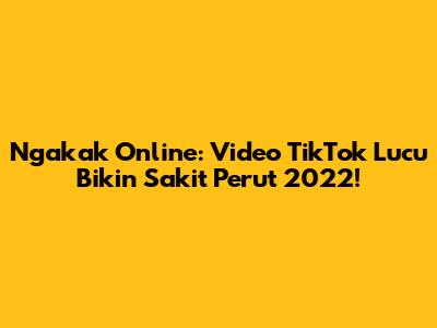 Ngakak Online: Video TikTok Lucu Bikin Sakit Perut 2022!