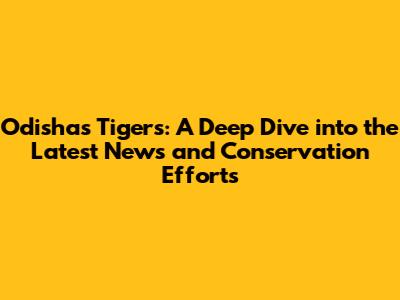 Odisha's Tigers: A Deep Dive into the Latest News and Conservation Efforts