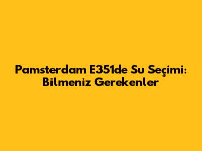 Pamsterdam E351'de Su Seçimi: Bilmeniz Gerekenler