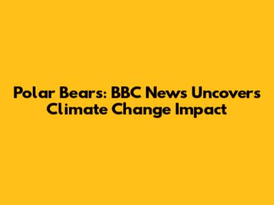 Polar Bears: BBC News Uncovers Climate Change Impact
