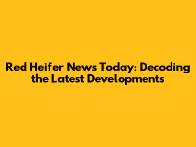 Red Heifer News Today: Decoding the Latest Developments