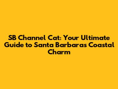 SB Channel Cat: Your Ultimate Guide to Santa Barbara's Coastal Charm