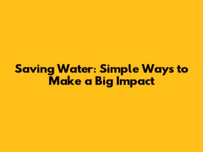 Saving Water: Simple Ways to Make a Big Impact