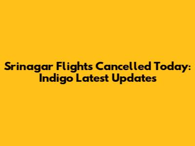 Srinagar Flights Cancelled Today: Indigo Latest Updates