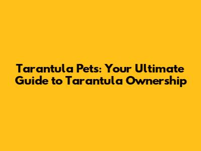 Tarantula Pets: Your Ultimate Guide to Tarantula Ownership