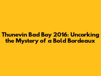 Thunevin Bad Boy 2016: Uncorking the Mystery of a Bold Bordeaux