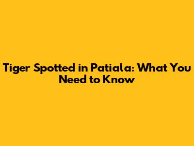 Tiger Spotted in Patiala: What You Need to Know