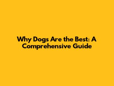 Why Dogs Are the Best: A Comprehensive Guide