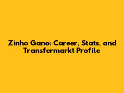 Zinho Gano: Career, Stats, and Transfermarkt Profile